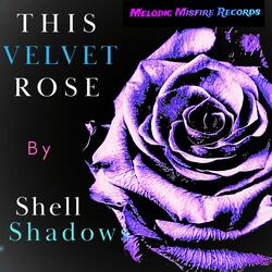 This Velvet Rose