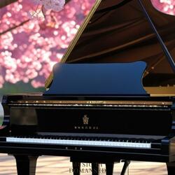 Melancholic Dream Relaxing Piano