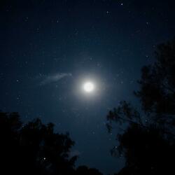 Peaceful piano for sleep