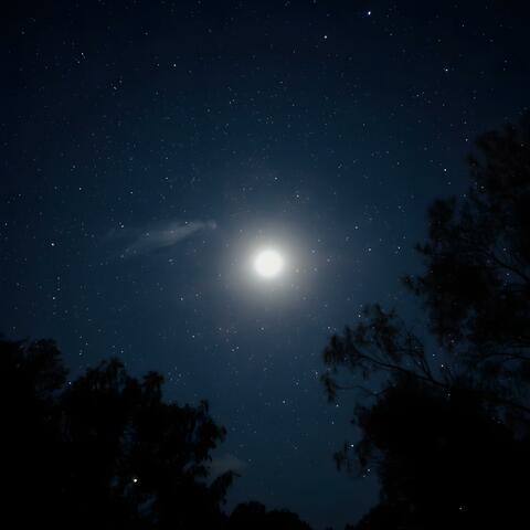 Peaceful piano for sleep