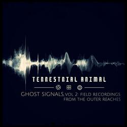 Saṃsāra (Log 112223.4)