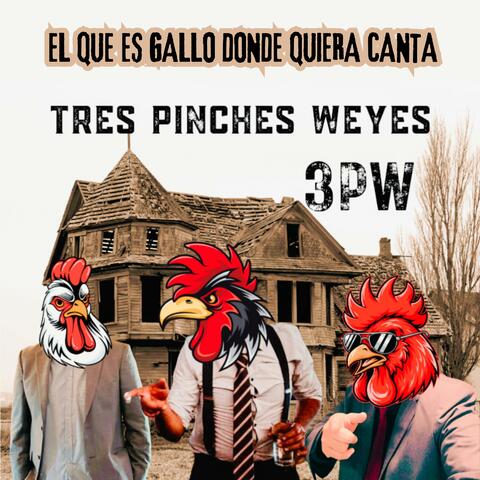 El Que Es Gallo Donde Quiera Canta