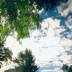 Whack whack whack whack