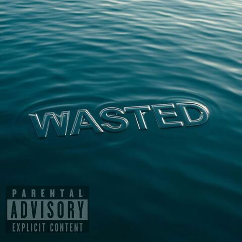 Wasted