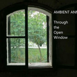 Through the Open Window