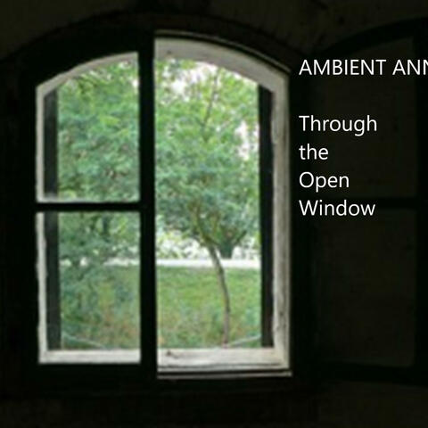 Through the Open Window