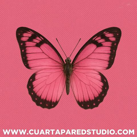 Mariposa 2 Rnb (instrumental Rnb)