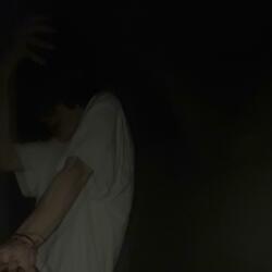 the gun
