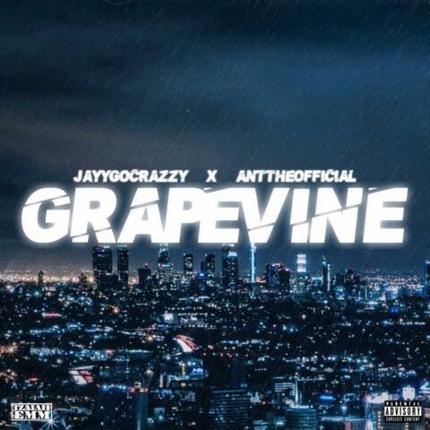 Grapevine (feat. ANT The Official)