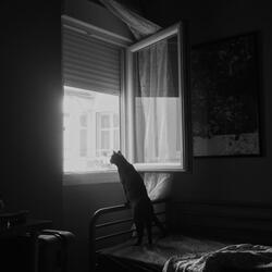waiting