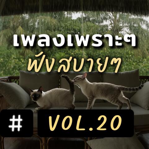 เพลงเพราะๆ ฟังสบายๆ อัลบั้ม 20