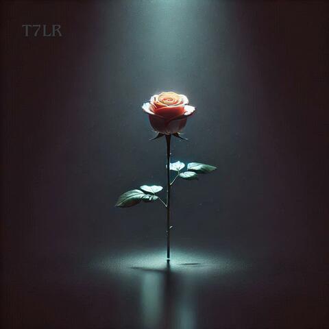 the end of you and I