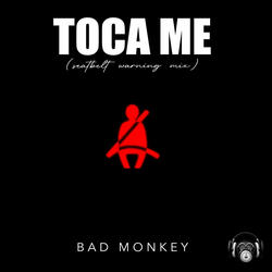 Toca Me (seatbelt warning mix)