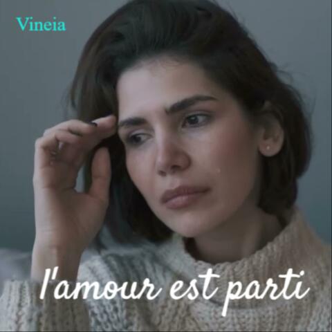 l'amour est parti