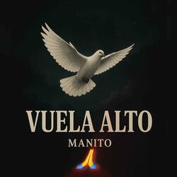 Vuela Alto