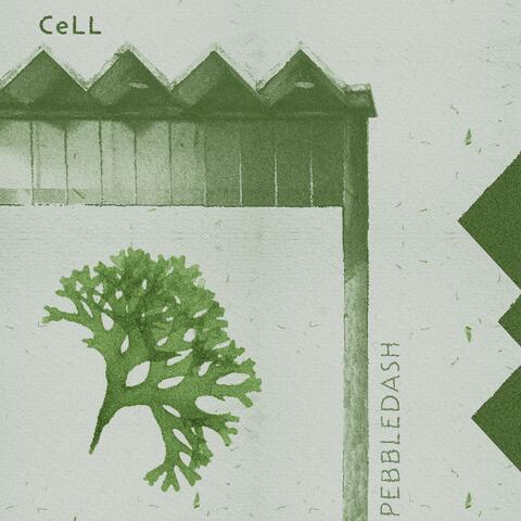 Cell