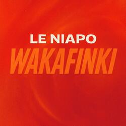 Wakafinki