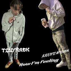 How Im Feeling (feat. TinyMack)