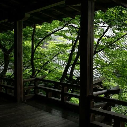 Rumination