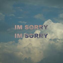 IM SORRY IM SORRY