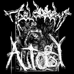 Safety Coffin Theory