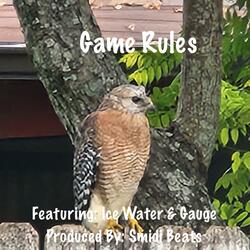 Game Rules (feat. Ice Water & Gauge)