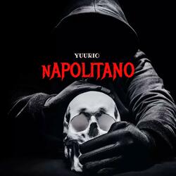 NAPOLITANO