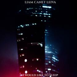 I Would Like To Sleep