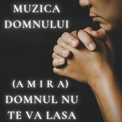 Domnul nu te va lasa (feat. Amira)