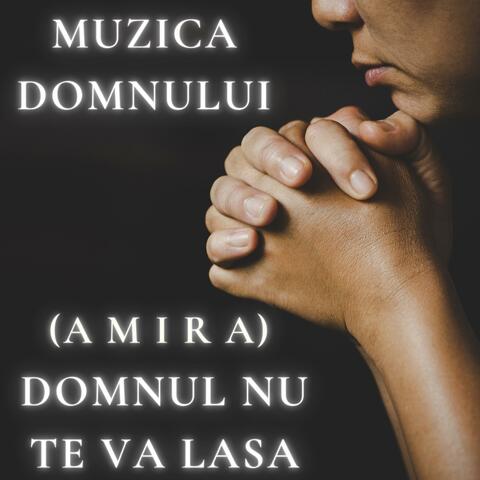 Domnul nu te va lasa (feat. Amira)