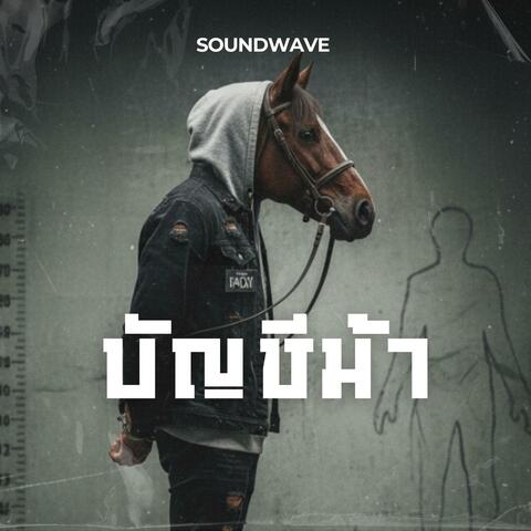 บัญชีม้า