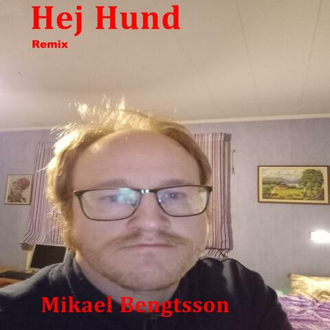 Hej Hund Remix