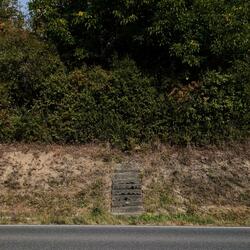 BACKYARD (feat. CutInHalf)