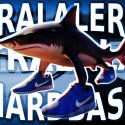 TRALALERO TRALALA HARDBASS (K-POP VERSION)