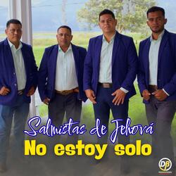 No estoy solo