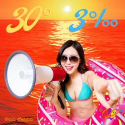 30 Grad, 3 Promille (feat. Maja Chubba)