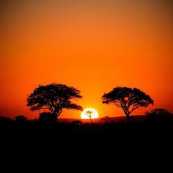 Africa Here