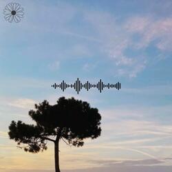 Amber (White Noise/Rain Sounds Piano)