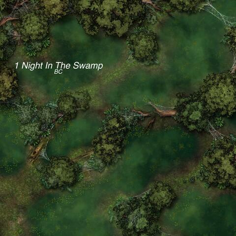 1 Night In The Swamp (feat. C77T & K$OX)