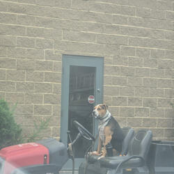 Old School Pride (feat. Offer & OkayJayy)