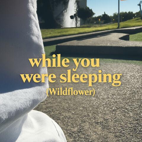 while you were sleeping