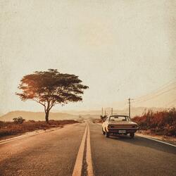 별빛 속의 이야기