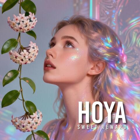 Hoya Sweet Reward