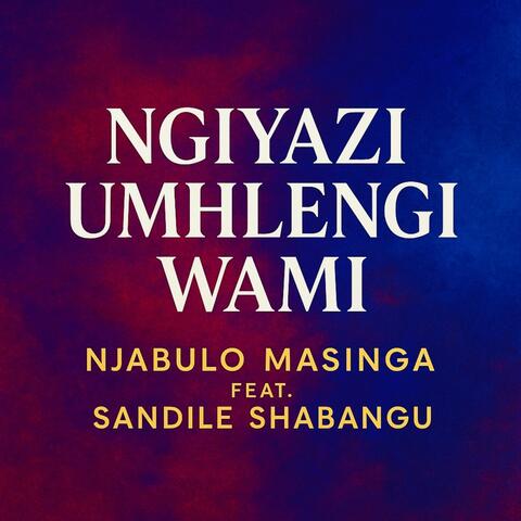 Ngiyazi Umhlengi Wami (feat. Sandile Shabangu)