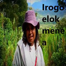 Irogo elok mane a (Lokal Wamena)