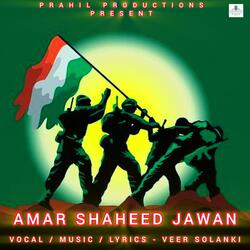 Hamare Shaheed Jawaan