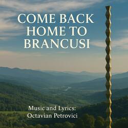 Come Back Home to Brâncuși