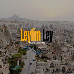 Leylim Ley (Psychedelic, 70s, Anatolian Rock)