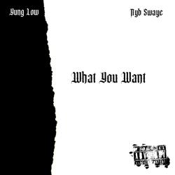 What You Want (feat. Nyb Swaye)
