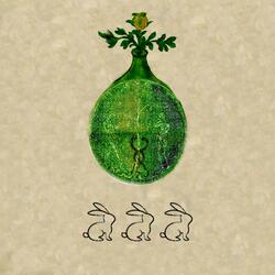 alice in wonderland syndrome (feat. Bella Lugxsi)